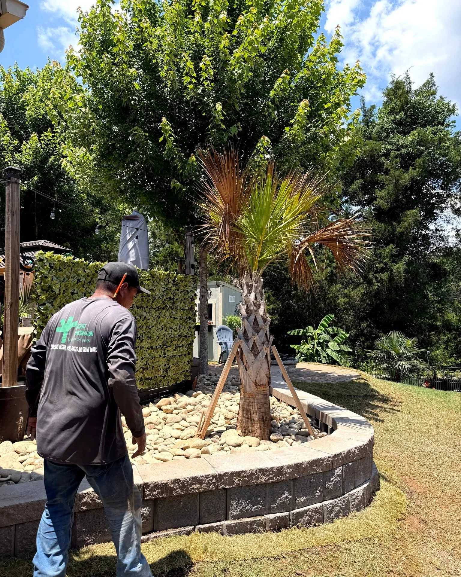 Tree planting project by Infinite Outdoor Construction